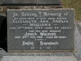 image of grave number 884446